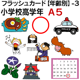 フラッシュカード【年齢別】-3　小学校高学年 ■A5サイズ■ 英語カード.com 送料無料 英単語 1歳 2歳 3歳 4歳 5歳 6歳 教材 学習 子供 子ども こども 小学校 幼稚園 チャンツ式 幼児 小学生 単語カードえいご 絵本 1年 2年 3年 4年 5年 6年