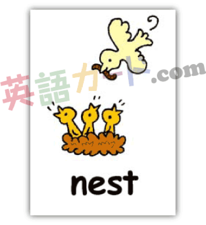 楽天市場】Let's Try! 1・2 （文科省）用 フラッシュカード