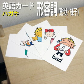 楽天市場 英単語 カード 子供の通販