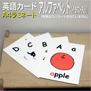 tbVJ[hyAt@xbg CXgzA4 ~l[gH@pꋳ wK pP   q wZpJ[h PJ[h ct wZ qǂp tHjbNX