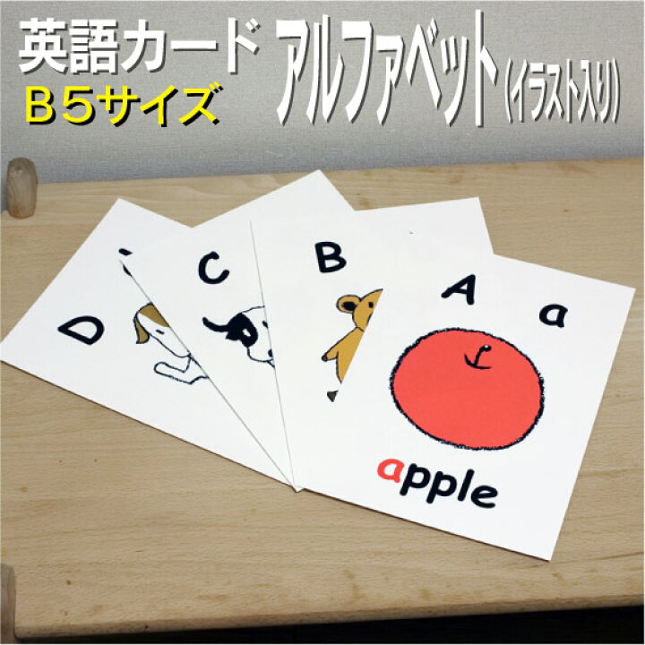 楽天市場 フラッシュカード えらべる 英語 カード アルファベット イラスト入り B５サイズ 送料無料 七田式 英単語 １歳 ２歳 ３歳 ４歳 ５歳 ６歳 教材 学習 子供 子ども こども 小学校 幼稚園 中学校 星みつる式 幼児 小学生 単語カードえいご 絵本 1年 2年 3年