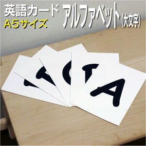 tbVJ[hyAt@xbg 啶zA5TCY pJ[h.com  pP 1 2 3 4 5 6  wK q qǂ ǂ wZ ct wZ ݂鎮 c w 