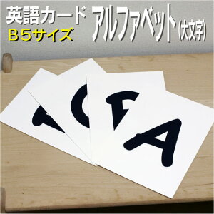 �t���b�V���J�[�h�y�A���t�@�x�b�g �啶���z��B5 ���~�l�[�g���H�� �p��J�[�h.com �������� �p�P�� 1�� 2�� 3�� 4�� 5�� 6�� ���� �w�K �q�� �q�ǂ� ���ǂ� ���w�Z �c�t�� �`�����c�� �c�� ���w