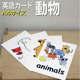 フラッシュカード【動物】■A4サイズ■ 英語カード.com 送料無料 英単語 1歳 2歳 3歳 4歳 5歳 6歳 教材 学習 子供 子ども こども 小学校 幼稚園 中学校 チャンツ 星みつる式 幼児 小学生 単語カードえいご 絵本 1年 2年 3年 4年 5年 6年