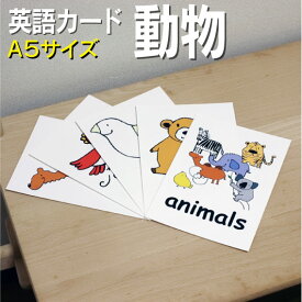 フラッシュカード【動物】■A5サイズ■ 英語カード.com 送料無料 英単語 1歳 2歳 3歳 4歳 5歳 6歳 教材 学習 子供 子ども こども 小学校 幼稚園 中学校 チャンツ 星みつる式 幼児 小学生 単語カードえいご 絵本 1年 2年 3年 4年 5年 6年