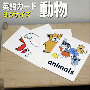 �t���b�V���J�[�h�y�����z��B5�T�C�Y�� �p��J�[�h.com �������� �p�P�� 1�� 2�� 3�� 4�� 5�� 6�� ���� �w�K �q�� �q�ǂ� ���ǂ� ���w�Z �c�t�� ���w�Z �`�����c ���݂鎮 �c�� ���w�� �P��J�[