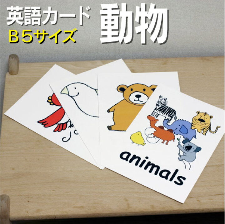 楽天市場 フラッシュカード えらべる 英語 カード Com 動物 B５サイズ 送料無料 七田式 英単語 １歳 ２歳 ３歳 ４歳 ５歳 ６歳 教材 学習 子供 子ども こども 小学校 幼稚園 中学校 チャンツ 星みつる式 幼児 小学生 単語カードえいご 絵本 1年 2年 3年 4年 5年