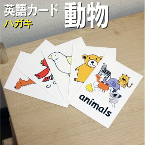 tbVJ[h ׂ p J[h.comyznKLTCY  pP 1 2 3 4 5 6  wK q qǂ ǂ wZ ct wZ `c ݂鎮 c 