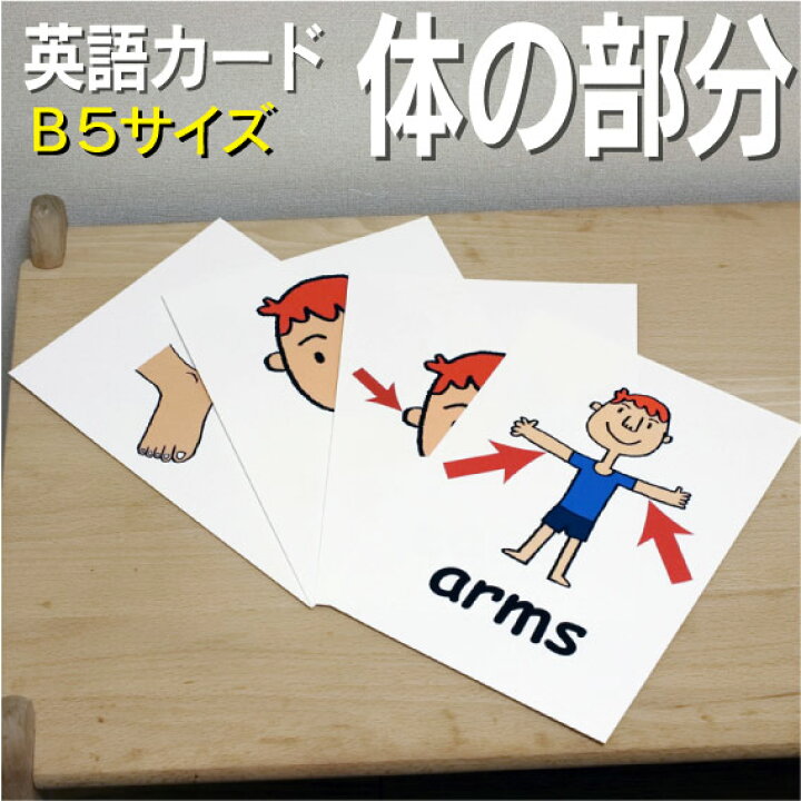 楽天市場 フラッシュカード 体の部分 B５サイズ 英語カード Com 送料無料 七田式 英単語 １歳 ２歳 ３歳 ４歳 ５歳 ６歳 教材 学習 子供 子ども こども 小学校 幼稚園 中学校 チャンツ 星みつる式 幼児 小学生 単語カードえいご 絵本 1年 2年 3年 4年 5年 6年