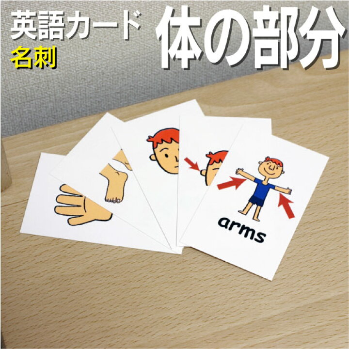 楽天市場 フラッシュカード 体の部分 名刺 ラミネート加工 英語カード Com 送料無料 七田式 英単語 １歳 ２歳 ３歳 ４歳 ５歳 ６歳 教材 学習 子供 子ども こども 小学校 幼稚園 チャンツ式 幼児 小学生 単語カードえいご 絵本 1年 2年 3年 4年 5年 6年 写真用紙