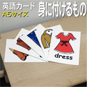 tbVJ[hygɂ镨zA5 ~l[gH pJ[h.com  pP 1 2 3 4 5 6  wK q qǂ ǂ wZ ct `c c w PJ