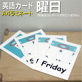 フラッシュカード【曜日】■A4 ラミネート加工■ 英語カード.com 送料無料 英単語 1歳 2歳 3歳 4歳 5歳 6歳 教材 学習 子供 子ども こども 小学校 幼稚園 中学校 星みつる式 幼児 小学生 単語カードえいご 絵本 1年 2年 3年 4年 5年 6年