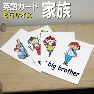 �t���b�V���J�[�h�y�Ƒ��z��B5�T�C�Y�� �p��J�[�h.com �������� �p�P�� 1�� 2�� 3�� 4�� 5�� 6�� ���� �w�K �q�� �q�ǂ� ���ǂ� ���w�Z �c�t�� ���w�Z �`�����c ���݂鎮 �c�� ���w�� �P��J�[