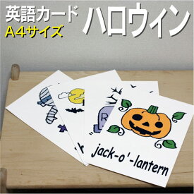 フラッシュカード【ハロウィーン】■A4サイズ■ 英語カード.com 送料無料 英単語 1歳 2歳 3歳 4歳 5歳 6歳 教材 学習 子供 子ども こども 小学校 幼稚園 中学校 チャンツ 星みつる式 幼児 小学生 単語カードえいご 絵本 1年 2年 3年 4年 5年 6年