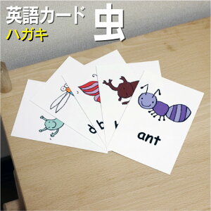 tbVJ[hyznKL ~l[gH pJ[h.com  pP 1 2 3 4 5 6  wK q qǂ ǂ wZ ct `c c w PJ[h