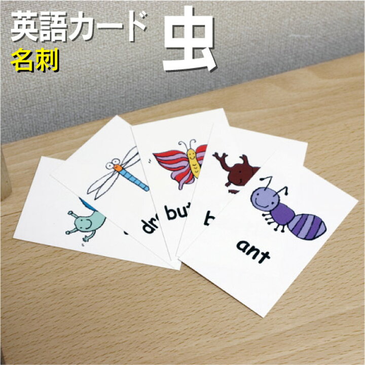 楽天市場 フラッシュカード えらべる 英語 カード Com 虫 名刺サイズ 送料無料 七田式 英単語 1歳 2歳 3歳 4歳 5歳 6歳 教材 学習 子供 子ども こども 小学校 幼稚園 中学校 チャンツ 星みつる式 幼児 小学生 単語カードえいご 絵本 1年 2年 3年 4年 5年 楽天市場 フラッシュカード えらべる 英語 カード Com 虫 名刺サイズ 送料無料 七田式 英単語 1歳 2歳 3歳 4歳 5歳 6歳 教材 学習 子供 子ども こども 小学校 幼稚園 中学校 チャンツ 星みつる式 幼児 小学生 単語カードえいご 絵本 1年 2年 3年 4年 5年