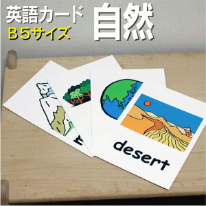 �t���b�V���J�[�h�y���R�z��B5�T�C�Y�� �p��J�[�h.com �������� �p�P�� 1�� 2�� 3�� 4�� 5�� 6�� ���� �w�K �q�� �q�ǂ� ���ǂ� ���w�Z �c�t�� ���w�Z �`�����c ���݂鎮 �c�� ���w�� �P��J�[