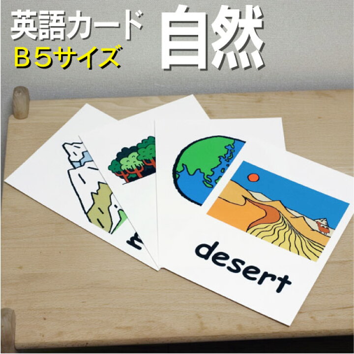 楽天市場 フラッシュカード えらべる 英語 カード 自然 B５サイズ 送料無料 七田式 英単語 １歳 ２歳 ３歳 ４歳 ５歳 ６歳 教材 学習 子供 子ども こども 小学校 幼稚園 中学校 チャンツ 星みつる式 幼児 小学生 単語カードえいご 絵本 1年 2年 3年 4年 5年