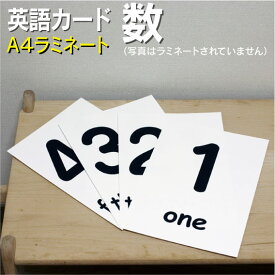 楽天市場 フラッシュカード 数字 おもちゃ の通販