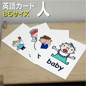 �t���b�V���J�[�h�y�l�z��B5�T�C�Y�� �p��J�[�h.com �������� �p�P�� 1�� 2�� 3�� 4�� 5�� 6�� ���� �w�K �q�� �q�ǂ� ���ǂ� ���w�Z �c�t�� ���w�Z �`�����c ���݂鎮 �c�� ���w�� �P��J�[�h