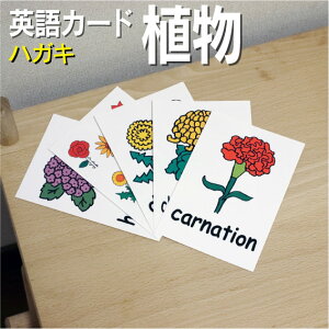 tbVJ[hyAznKL ~l[gH pJ[h.com  pP 1 2 3 4 5 6  wK q qǂ ǂ wZ ct `c c w PJ[h