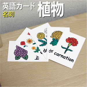 tbVJ[hyAzhTCY pJ[h.com  pP 1 2 3 4 5 6  wK q qǂ ǂ wZ ct wZ `c ݂鎮 c w P