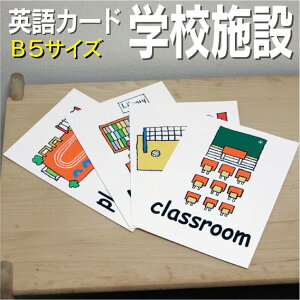 �t���b�V���J�[�h�y�w�Z�{�݁z��B5�T�C�Y�� �p��J�[�h.com �������� �p�P�� 1�� 2�� 3�� 4�� 5�� 6�� ���� �w�K �q�� �q�ǂ� ���ǂ� ���w�Z �c�t�� ���w�Z �`�����c ���݂鎮 �c�� ���w�� �P��