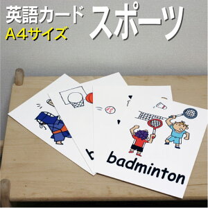 tbVJ[hyX|[czA4TCY pJ[h.com  pP 1 2 3 4 5 6  wK q qǂ ǂ wZ ct wZ `c ݂鎮 c w P