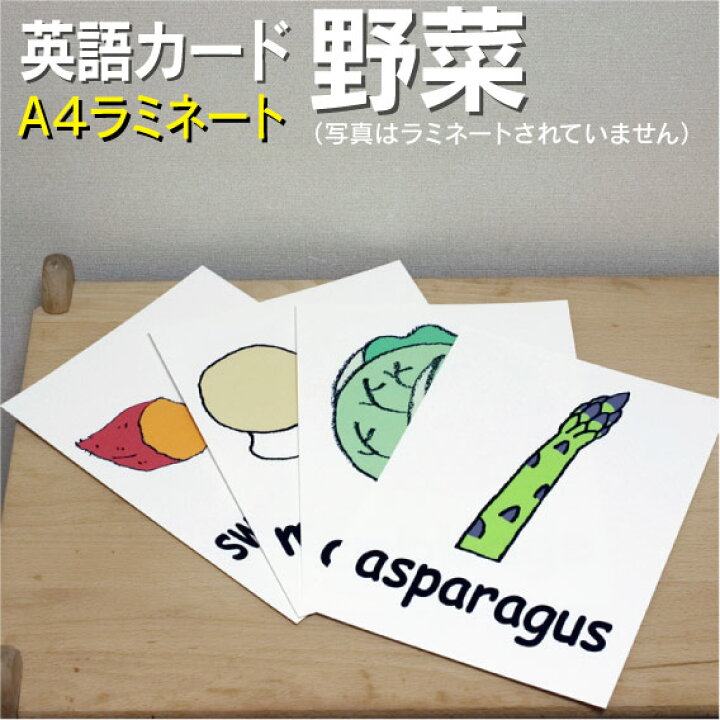 楽天市場 フラッシュカード 野菜 A４ ラミネート加工 英語カード Com 送料無料 七田式 英単語 １歳 ２歳 ３歳 ４歳 ５歳 ６歳 教材 学習 子供 子ども こども 小学校 幼稚園 中学校 星みつる式 幼児 小学生 単語カードえいご 絵本 1年 2年 3年 4年 5年 6年 食べ物