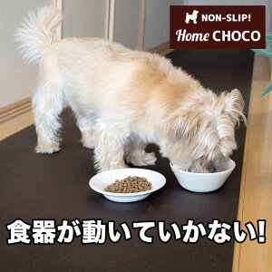 ̂߂̎p ~߃}bg HOME CHOCO IIIm70cm×1mnz[`RVer.III yt[O ֐ ی NbV ybg H t[h }bg  h h `zyR 