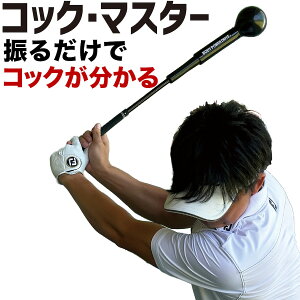 yŁzU邾ŃRbN ZڂȂXCOK RbN}X^[ yƎdʃoXŎR̃RbNzyBODY POWER DRIVE BLACK 30 {fBp[hCu  30C`zyS