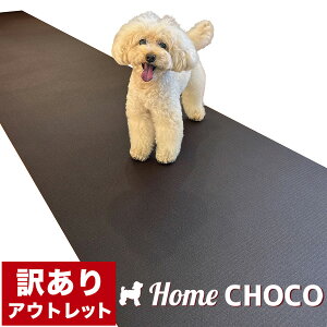 mTCỸAEgbgn̂߂̎p ~߃}bg HOME CHOCO III z[`RVer.III yt[O ֐ ی NbV ybg H t[h }bg  h h `