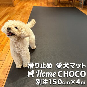 ̂߂̎p ~߃}bg HOME CHOCO III ʒChm150cm×4mnz[`RVer.III yt[O ֐ ی NbV ybg H t[h }bg  h h `