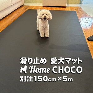 ̂߂̎p ~߃}bg HOME CHOCO III ʒChm150cm×5mnz[`RVer.III yt[O ֐ ی NbV ybg H t[h }bg  h h `