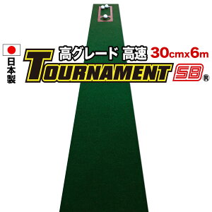 yiF쐬zp^[}bgH[@30cm×6m TOURNAMENT-SBig[igSBj y O[hzi}X^[Jbvtj y{zyp^[KEStKpiESt