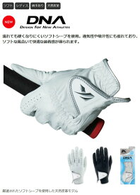 キャスコ kasco DNA シープ 羊革 両手用 レディース グローブ GF-2012LW 正規品