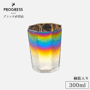 yuhcz PROGRESS i Hakkei- ˔ KX 300ml Mtg ۏ؏t ̓ ̓ a ސEj ٓj Vzj V j LOi  `^ ECXL[ 