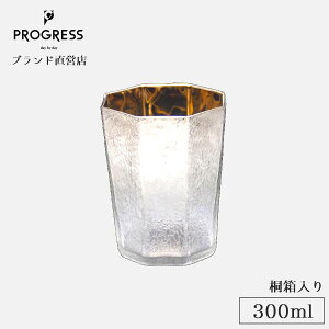 yuhcz PROGRESS i Hakkei- ˔ KX 300ml Mtg ۏ؏t ̓ ̓ a ސEj ٓj Vzj V j LOi  `^ ECXL[ 