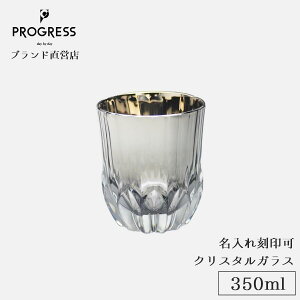 yuhcz PROGRESS Succeed-Silver NX^OX 350ml Mtg ۏ؏t  ꍏ ̓ ̓ a ސEj Vzj V j LOi  `^ ECX