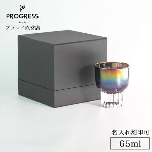yuhcz PROGRESS Chic-Infinite u 65ml Mtg ۏ؏t  ꍏ ̓ ̓ a ސEj V Vzj j LOi  I[ { 傱 