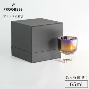yuhcz PROGRESS Chic-Shine u 65ml Mtg ۏ؏t  ꍏ a ސEj Vzj j o^C zCgf[ LOi  `^ { 傱 