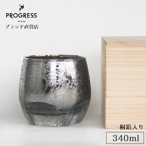 yuhcz PROGRESS  ICHIGOICHIE- ˔ KX 340ml Mtg ۏ؏t ̓ ̓ a ސEj ٓj Vzj V j LOi  `^ EC