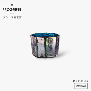 yuhcz PROGRESS Pure-Aurora OXfBbV 220ml Mtg ۏ؏t  ꍏ ̓ ̓ a ސEj Vzj V j LOi  I[ fU[