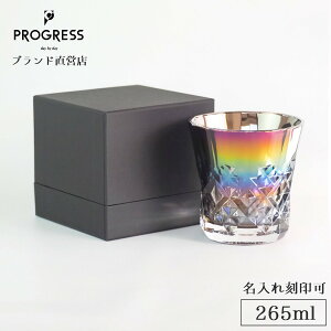 yuhcz PROGRESS Rex-Infinite bNOX 265ml Mtg ۏ؏t  ꍏ ̓ a V ސEj Vzj j  I[ ECXL[ Ē D