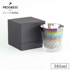 yuhcz PROGRESS Rex-Infinite Fog bNOX 265ml Mtg ۏ؏t  ̓ ̓ a ސEj ٓj V j LOi  I[ ECXL[ Ē 