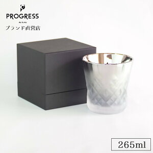 yuhcz PROGRESS Rex-Silver Fog bNOX 265ml Mtg ۏ؏t  a ̓ ̓ ސEj Vzj V j LOi  `^ ECXL[ Ē  M