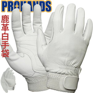 ōɏ_炩! v h v h ~h r_炩yDD-53zPROHANDS thc O[u hv vnYxmO[u Ɨp 