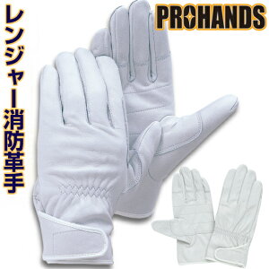 y[OK 3o܂Łzv 哖 ϋv^W[O[uh v @ hc̗KEPɍœKyCN-365zPROHANDS@ hc h ~~} XL[ Ɨp pC