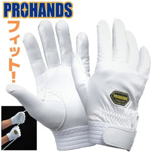 y[OK 4o܂Łzẘo_CNgɓ`i PROHANDS h v  Z @ɁyCW-020zhc O[u h @ hcƗp  h ~܃|v