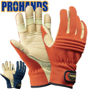 y[OK 2o܂ŁzXL[O[u h A~h@ہ@Pu[ ЊQ ~ yKO-212 IWzPROHANDS vnYΊ XL[ h v hc P hЎ ЊQp